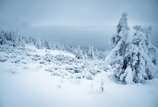 seasonal nature background cloudy gloomy winter landscape