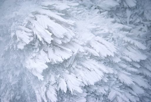 seasonal background frozen abstract snow crystals