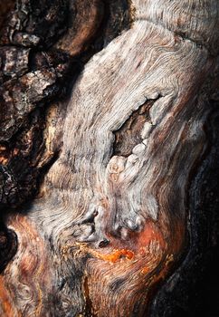 background or texture detail of old deformed wood