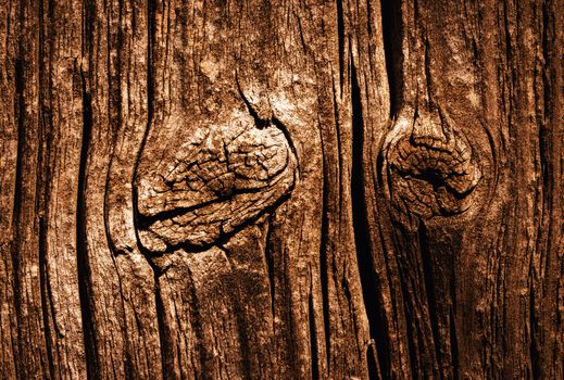 background or texture detail of old weathered brown wooden plate