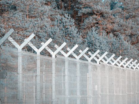 Security Fence In Prison. Lost freedom behind barbed wire. Law. Black amd white photo. Old rusty barbed wire in the forest close up. Private property in the forest angle shot. Insects, ants are walking on a barbed wire fence,barbed,ant.