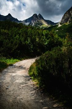 seasonal landscape background a stone walkway into the dark mountain valley