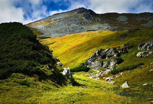 seasonal landscape background a desolate stone field high in the mountains