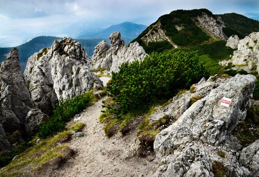 nature landscape background pavement in a rocky town