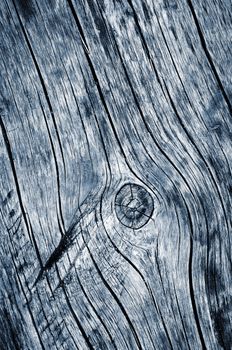 background or texture gray textured old wooden board