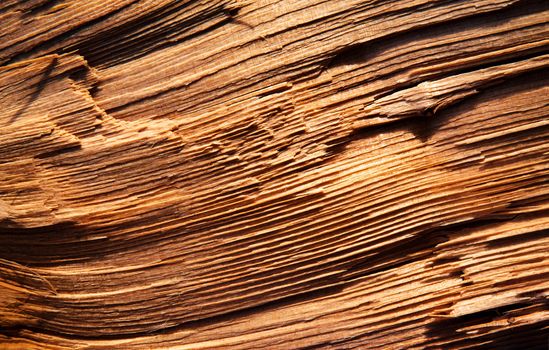 abstract background or texture detail lines chopped wood