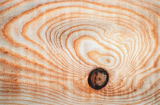 background or texture abstract oval lines on a wooden board