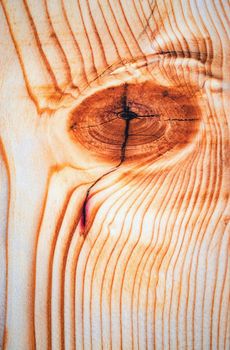 abstract background or texture bloody knot on a wooden board