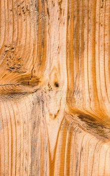 background or texture detail shape on a wooden spruce board