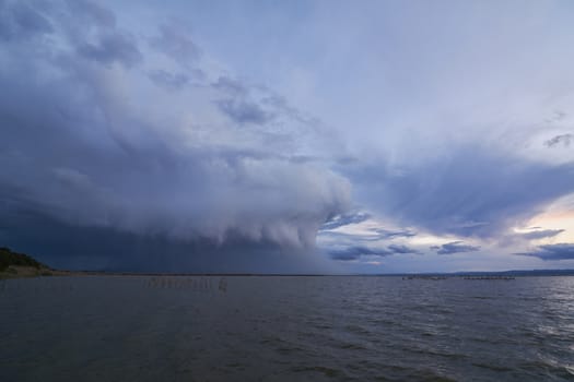 Landscape of a lake with storm clouds, moving waters reeds in the water, bluish tones