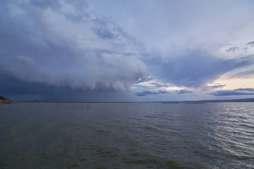 Landscape of a lake with storm clouds, moving waters reeds in the water, bluish tones