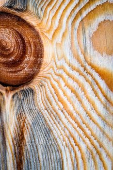 abstract background or texture abstract structure on a wooden board