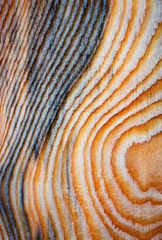 background or texture abstract map on a wooden board