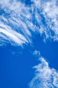 nature background contrast white fine cloud in the sky