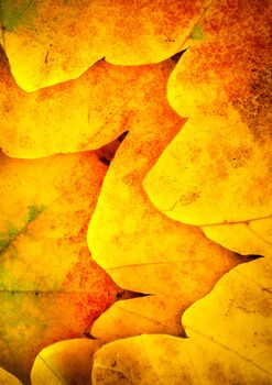 abstract autumn background with dry colored leaves