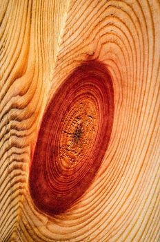 background or texture detail wooden board with a bump on the red spruce