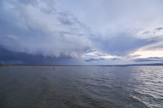 Landscape of a lake with storm clouds, moving waters reeds in the water, bluish tones