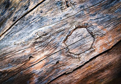 background or texture circular abstract shape on old wood