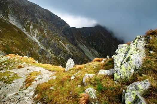 nature landscape background fog in the mountain valley