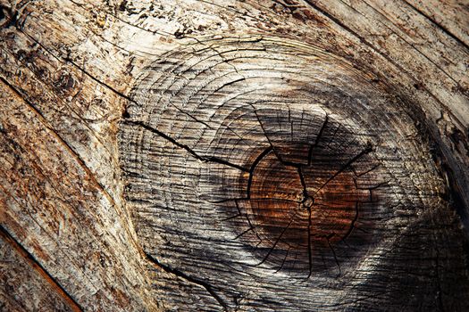 background or texture Abstract details knots on wood