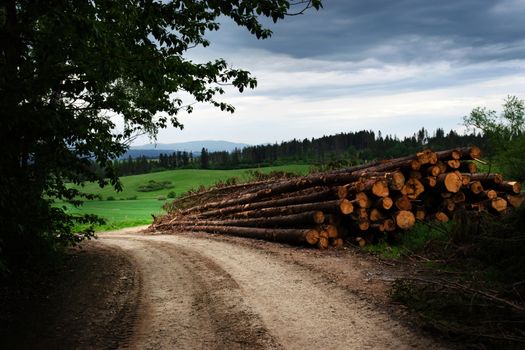 landscape background a dump wooden on the edge of the road