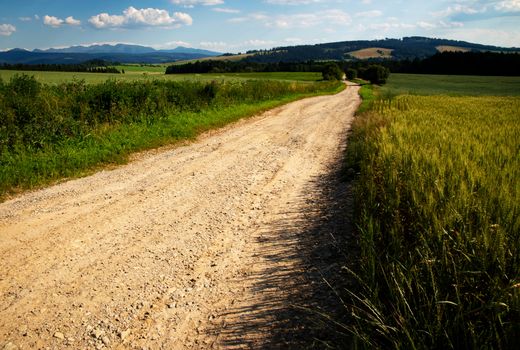 landscape background sandy path through picturesque countryside