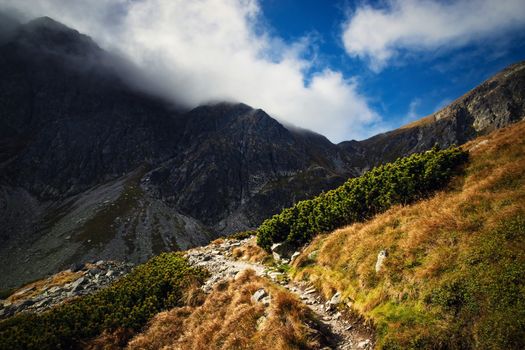 seasonal landscape background a stone path in the autumn mountains