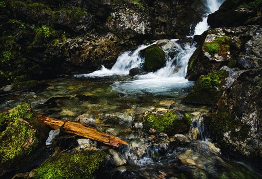 nature background detail on a wild mountain stream