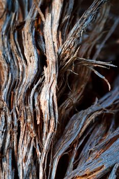 background or texture abstract detail rotten wood