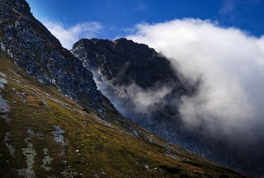 nature lanscape background fog between the hills