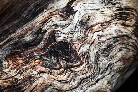 background or texture abstract wavy surface of old wood