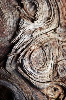 abstract background or texture swirl pattern on old wood