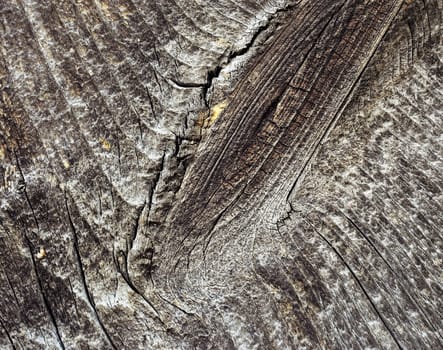 abstract background or texture Detail of old wood board