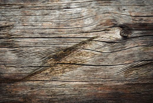 background or texture Detail of wooden tree trunk with grooves