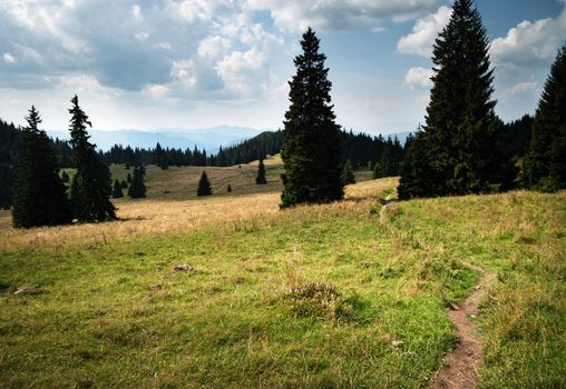 landscape background autumn foothill meadow