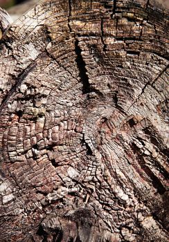 background or texture abstract detail dry weathered wood