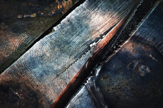 abstract background or texture detail of an old weathered stump