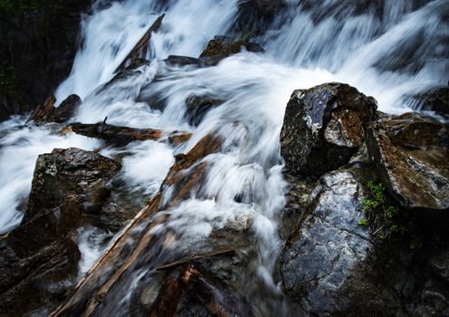 nature seasonal background detail wild stream in an old forest