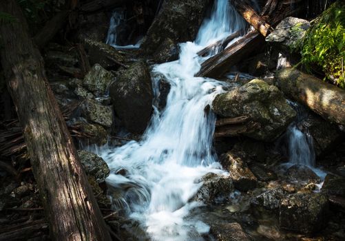 nature seasonal background wild stream in an old forest