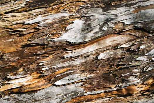 abstract background the old weathered wood