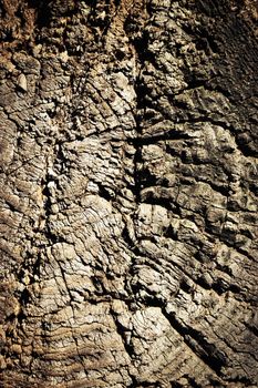 abstract background texture of old damaged wood