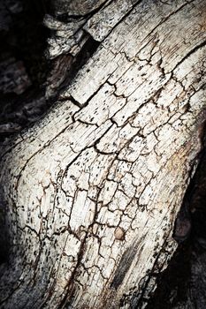 background or texture Detail of old wood with a crack