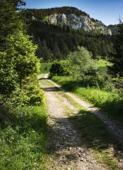 seasonal landscape path to the sunny foothills of the valley