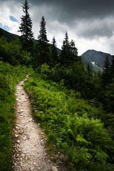 nature seasonal dramatic mountain landscape with distinctive green