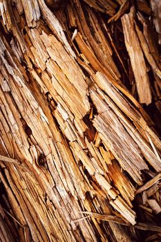 abstract background or texture broken rotten wood