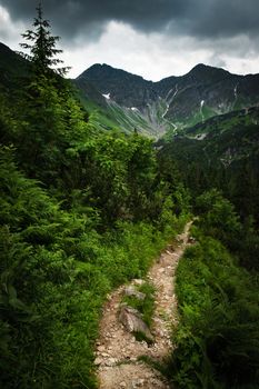 nature seasonal dramatic mountain landscape with distinctive green