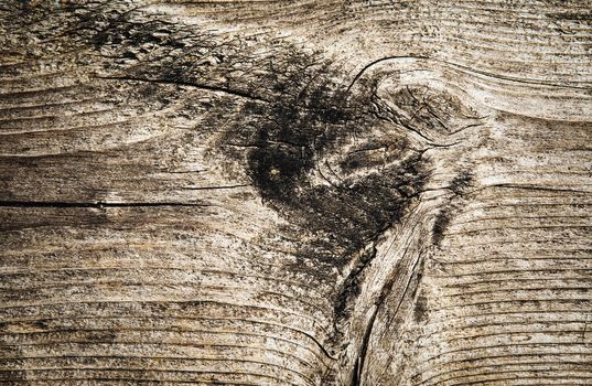 abstract background or texture old wood with unevenness on the surface