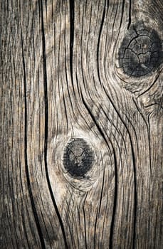 abstract background or texture detail of old wooden board with a bump