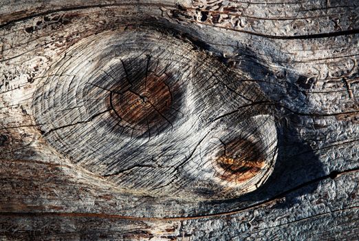 abstract background or texture Two knot on wood