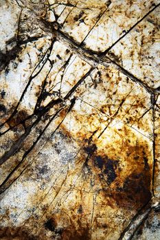 abstract background or texture detail the groove surface stone